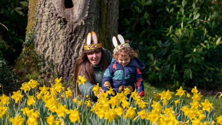 Woman and child behind a bed of daffodils with a tree in the background
